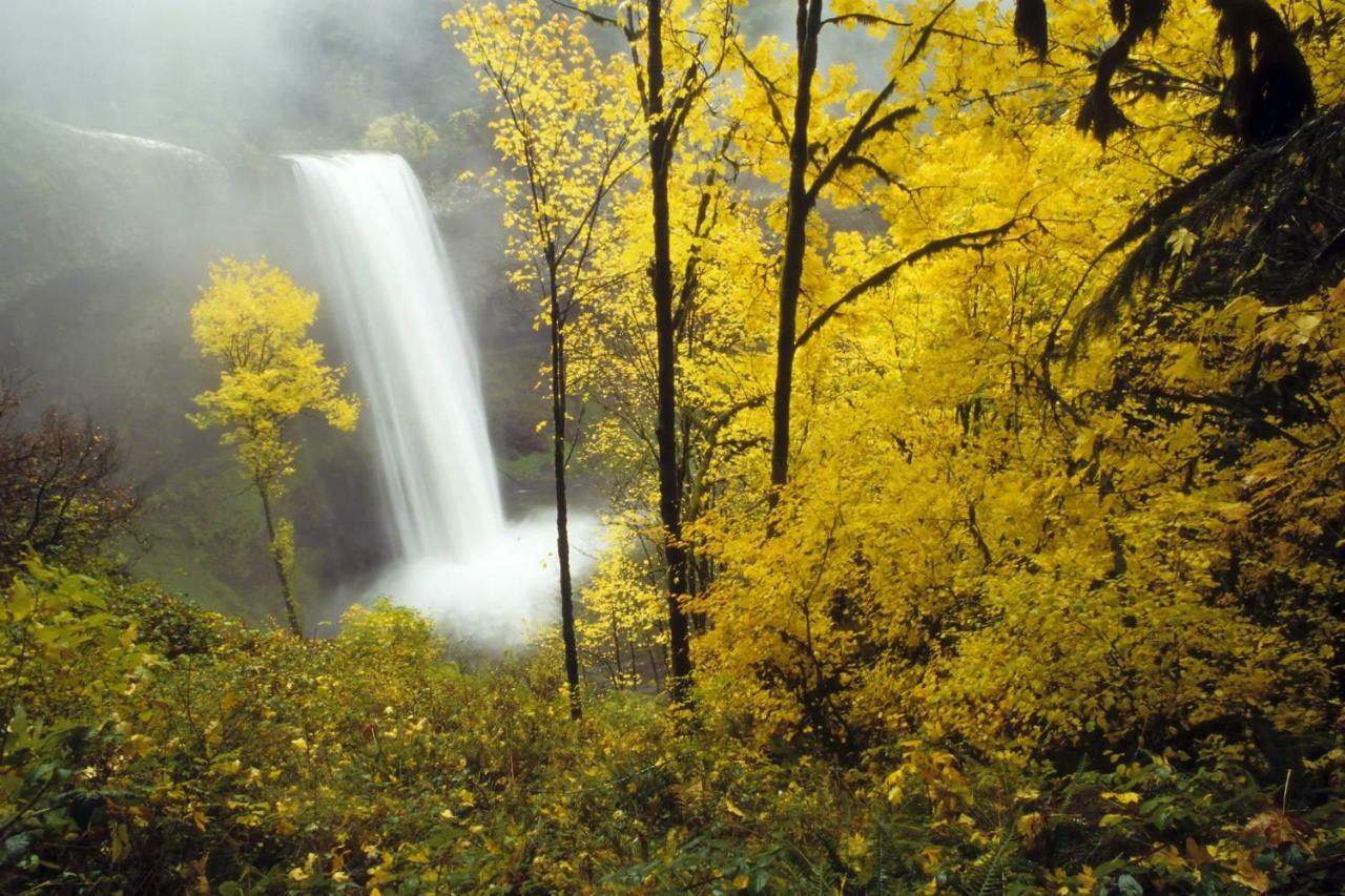 Silver Falls Lodge & Conference Center Sublimity Bagian luar foto